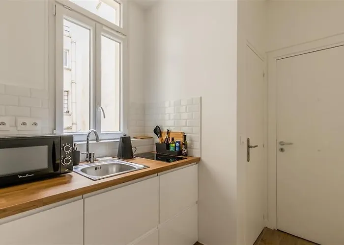 Large Flat Louvre Pont Neuf 48 M2 Daire Paris