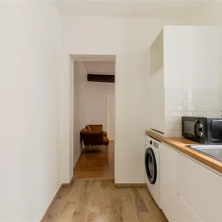 Large Flat Louvre Pont Neuf 48 M2 Apartment Paris